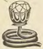 Catalog evidence for Diamond stud / collar button / scarf pin · No. 81