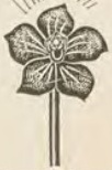 Catalog evidence for Diamond scarf pin · No. 103