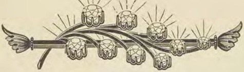 Catalog evidence for Diamond lace pin · No. 106