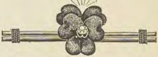 Catalog evidence for Diamond lace pin · No. 111