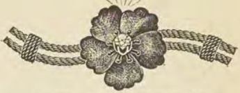 Catalog evidence for Diamond lace pin · No. 107