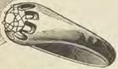 Catalog evidence for Diamond ring · No. 152