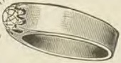 Catalog evidence for Diamond ring · No. 154