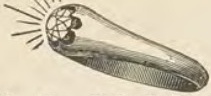 Source illustration