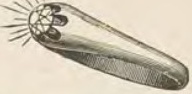Catalog evidence for Diamond ring · No. 166