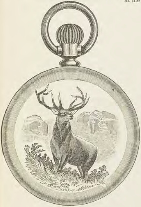 Catalog evidence for Watch case · Style M
