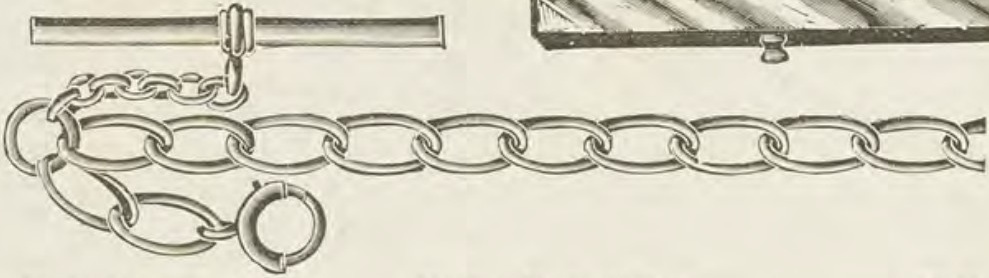 Catalog evidence for Watch / neck chain · No. 3