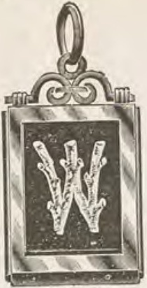 Catalog evidence for Locket · No. 107