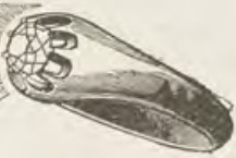 Catalog evidence for Ring · No. 192