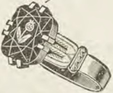 Catalog evidence for Ring · No. 213