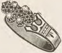 Catalog evidence for Ring · No. 221