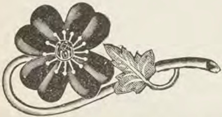 Catalog evidence for Lace / shawl pin · No. 317