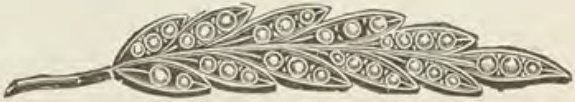 Catalog evidence for Lace / shawl pin · No. 330