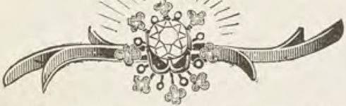 Catalog evidence for Lace / shawl pin · No. 333