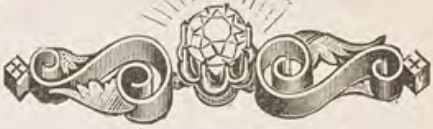 Catalog evidence for Lace / shawl pin · No. 342