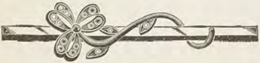 Catalog evidence for Lace / shawl pin · No. 337