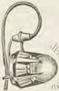 Catalog evidence for Earrings · No. 352