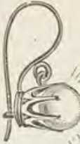 Catalog evidence for Earrings · No. 319