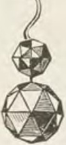 Catalog evidence for Earrings · No. 385
