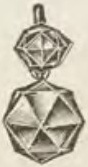 Catalog evidence for Earrings · No. 409