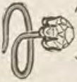 Catalog evidence for Earrings · No. 410