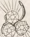 Catalog evidence for Scarf pin · No. 465