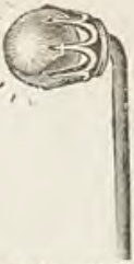 Catalog evidence for Scarf pin · No. 444