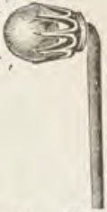 Catalog evidence for Scarf pin · No. 445
