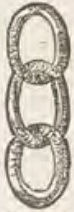 Catalog evidence for Charm · No. 496