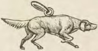Catalog evidence for Charm · No. 584