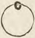 Catalog evidence for Charm · No. 567
