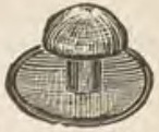 Catalog evidence for Stud / collar button · No. 632