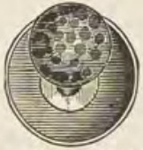 Catalog evidence for Stud / collar button · No. 624
