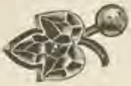 Catalog evidence for Garnet jewelry · No. 667