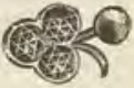 Catalog evidence for Garnet jewelry · No. 668