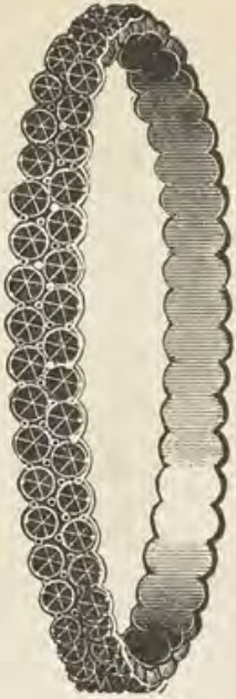 Catalog evidence for Garnet jewelry · No. 646