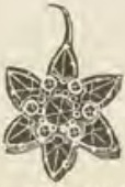 Catalog evidence for Garnet jewelry · No. 665