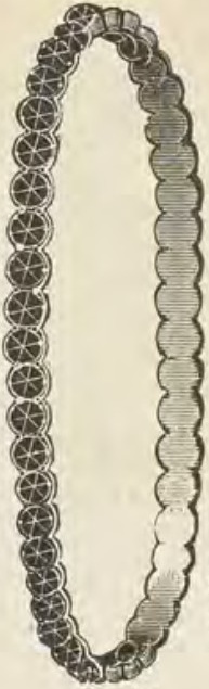 Catalog evidence for Garnet jewelry · No. 647