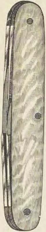Catalog evidence for Pocket knife · No. 19