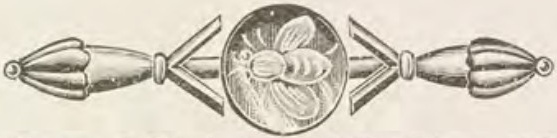 Catalog evidence for Lace / shawl pin · No. 181