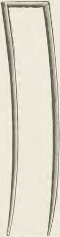 Catalog evidence for Lace / shawl pin · No. 193