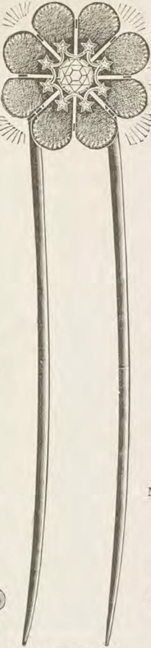 Catalog evidence for Lace / shawl pin · No. 199
