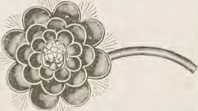 Catalog evidence for Lace / shawl pin · No. 207