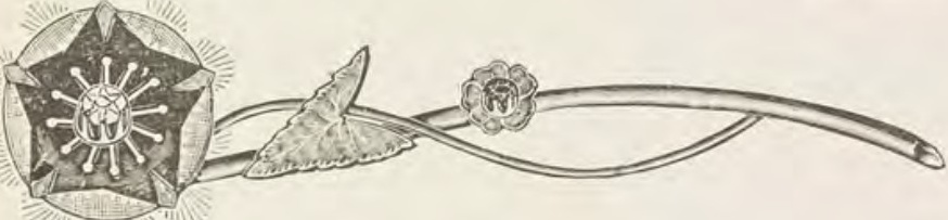 Catalog evidence for Lace / shawl pin · No. 221