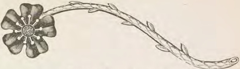 Catalog evidence for Lace / shawl pin · No. 220