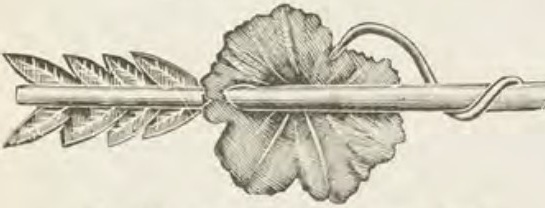 Catalog evidence for Lace / shawl pin · No. 227