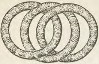 Catalog evidence for Lace / shawl pin · No. 219
