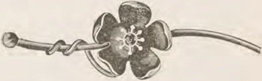 Catalog evidence for Lace / shawl pin · No. 228