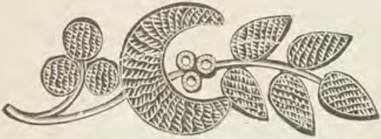 Catalog evidence for Lace / shawl pin · No. 293
