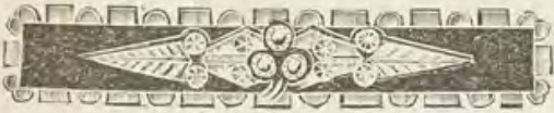 Catalog evidence for Lace / shawl pin · No. 235
